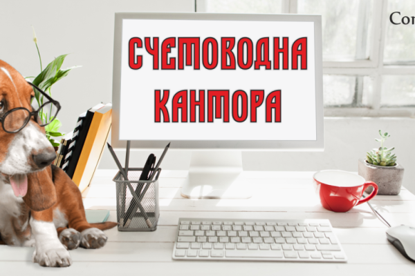 Счетоводство, съобразено с нуждите на вашия бизнес schetovodna-kantora-varna | contolexvarna.bg